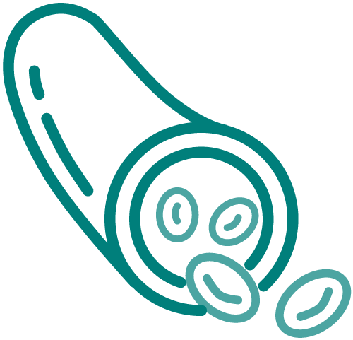 Endovascular-teal Endovascular-teal