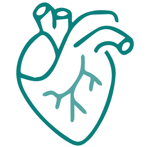 Heart-teal-500x500 Heart-teal-500x500