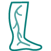 vascular system icon
