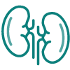 Lungs icon