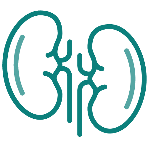 Urology-500x500 Urology-500x500