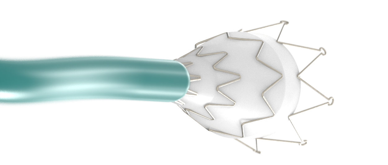 Z-Stent.49 Z-Stent.49