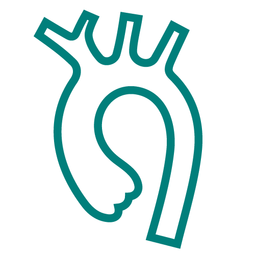 Aortathicker-500x500 Aortathicker-500x500